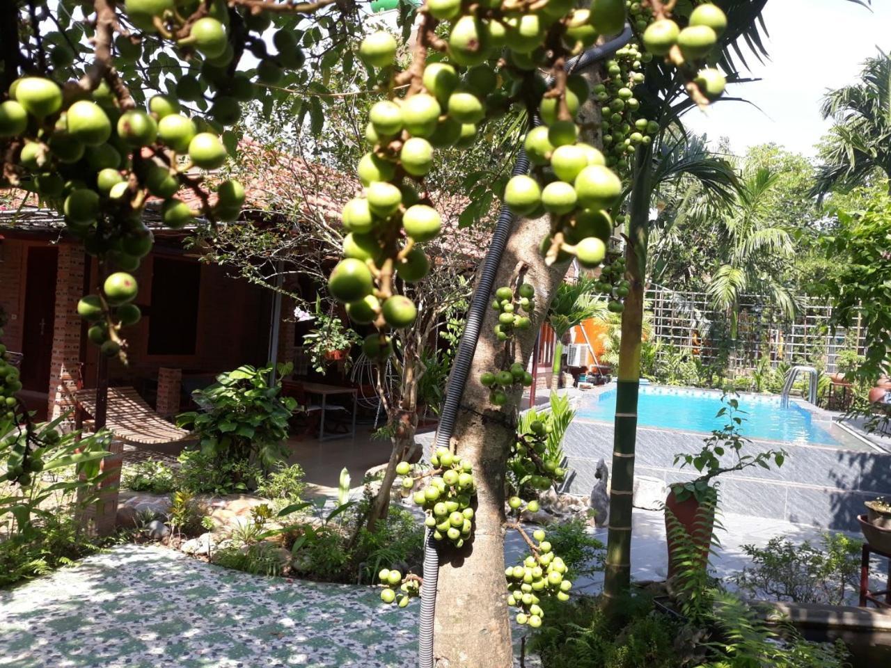 An Phu Homestay Ninh Binh Exterior photo