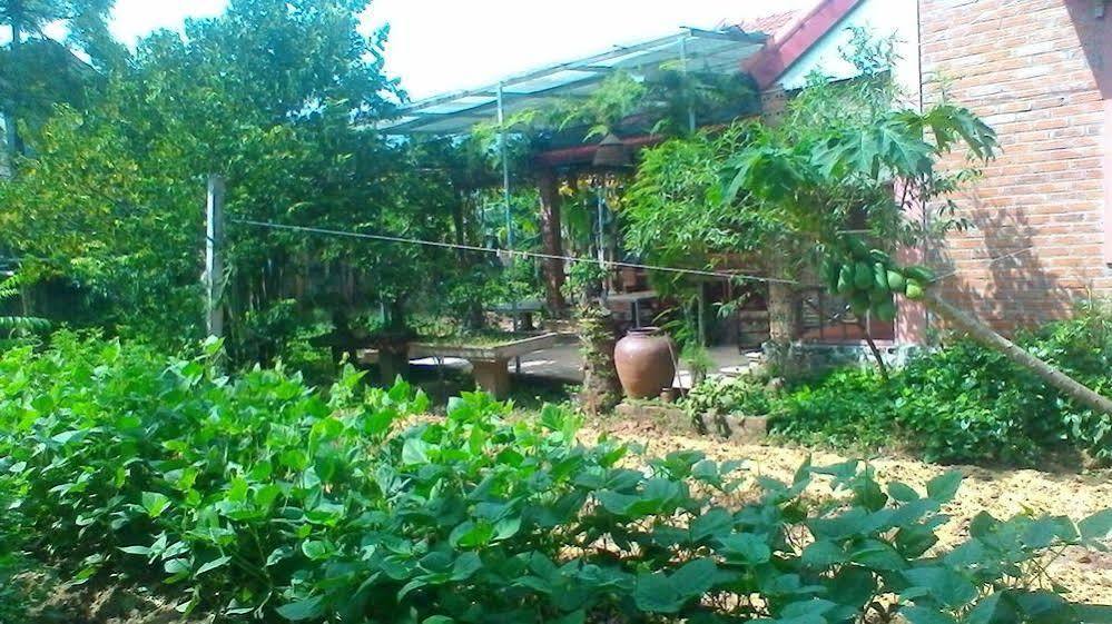 An Phu Homestay Ninh Binh Exterior photo